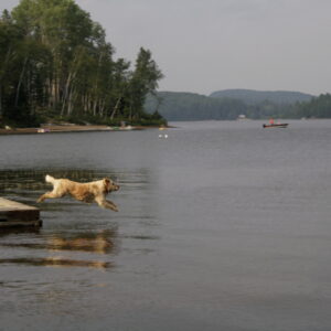 brandy-going-for-a-dip