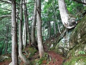 HIKINGHike the beautiful trails of Algonquin Park, and photograph the dramatic fall colors, then return to the warmth of your wood burning fireplace.