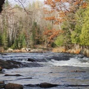 oxtongue-rapids